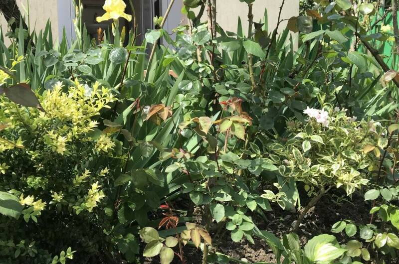 Изображение Изображение гостиницы &quot;Гостевой дом «На Шолохова»&quot; #4 #2