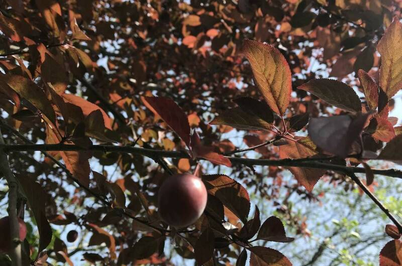 Изображение Изображение гостиницы &quot;Гостевой дом «На Шолохова»&quot; #6 #4