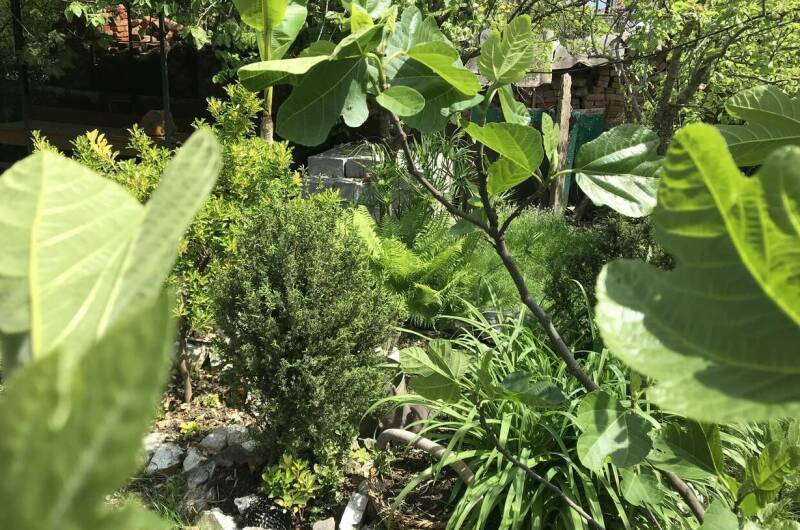 Изображение Изображение гостиницы &quot;Гостевой дом «На Шолохова»&quot; #7 #5