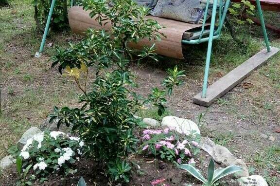 Изображение Изображение гостиницы &quot;Гостевой дом «На Шолохова»&quot; #8 #6