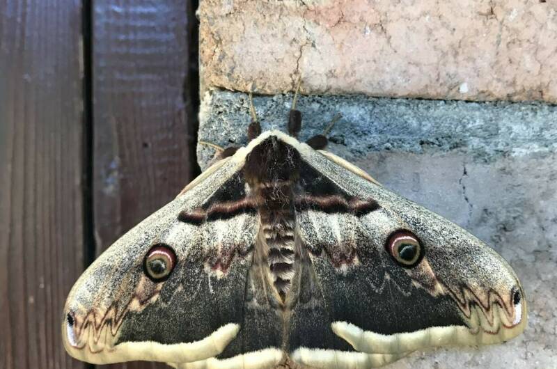 Изображение Изображение гостиницы &quot;Гостевой дом «На Шолохова»&quot; #11 #9