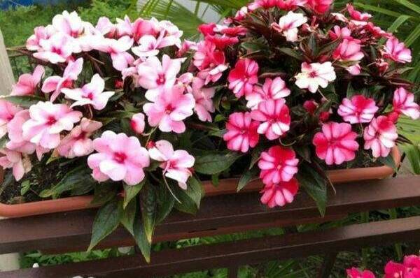 Изображение Изображение гостиницы &quot;Гостевой дом «У Артура»&quot; #9 #7