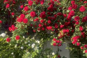 Изображение отеля / гостиницы "Гостевой дом на Октябрьской"