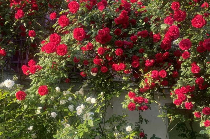 Изображение гостиницы "Гостевой дом на Октябрьской" #1