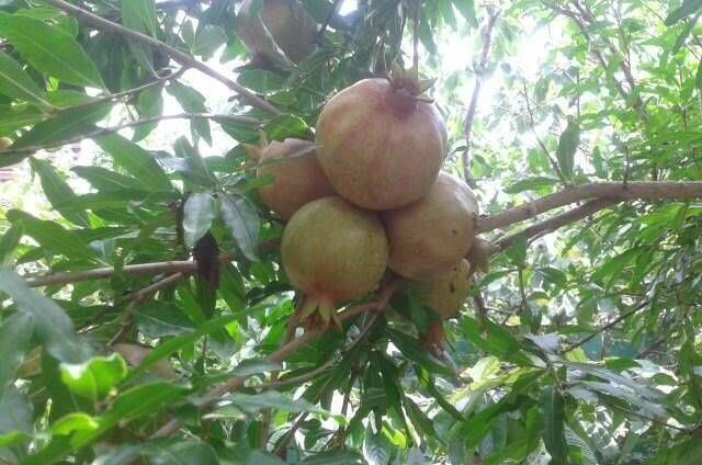 Изображение Изображение гостиницы &quot;Гостевой дом на Октябрьской&quot; #4 #2