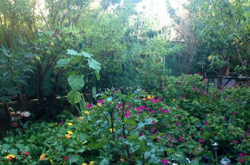 Изображение Изображение гостиницы &quot;Гостевой дом на Октябрьской&quot; #6 #4