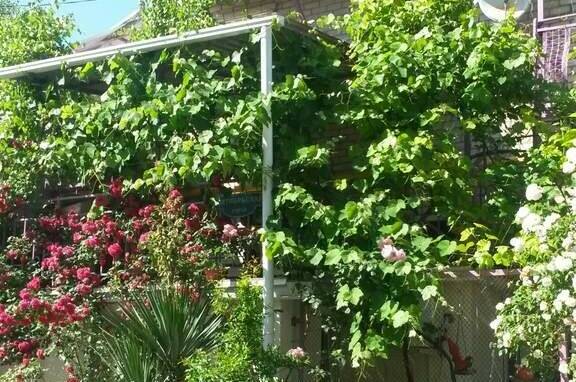 Изображение Изображение гостиницы &quot;Гостевой дом на Октябрьской&quot; #10 #8