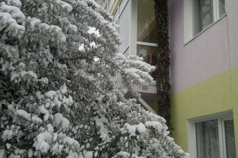 Изображение Изображение гостиницы &quot;Гостевой дом «Фиалка»&quot; #8 #6