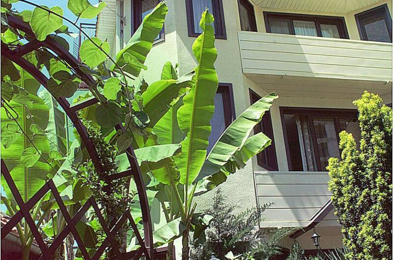 Изображение Изображение гостиницы &quot;Мини-отель «Банановый рай»&quot; #8 #6