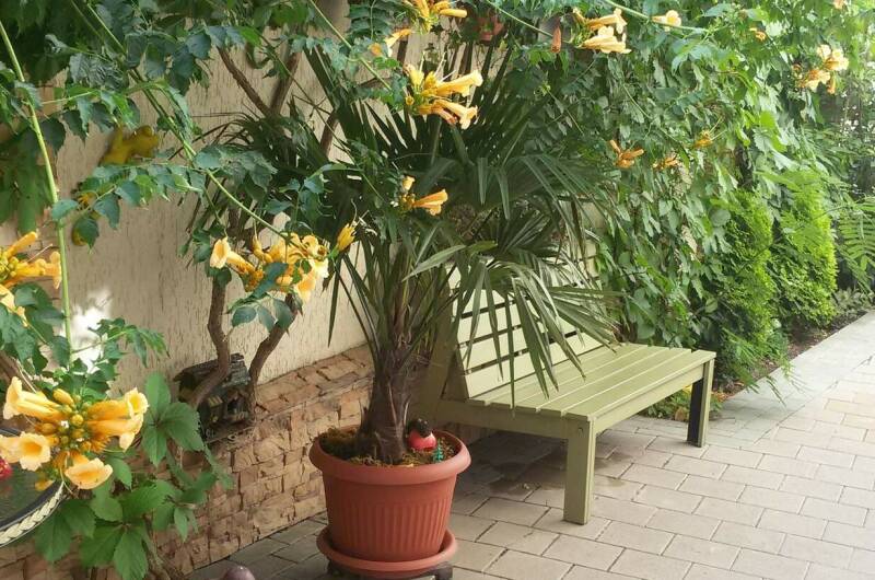 Изображение Изображение гостиницы &quot;Гостевой дом «Белоснежка»&quot; #7 #5