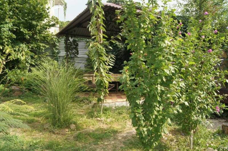 Изображение Изображение гостиницы &quot;Гостевой дом «Арина»&quot; #6 #4