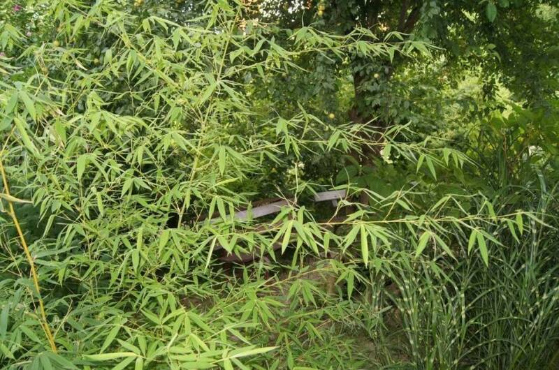 Изображение Изображение гостиницы &quot;Гостевой дом «Арина»&quot; #8 #6