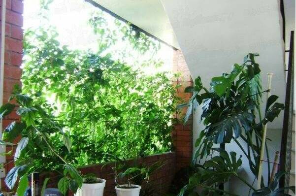 Изображение Изображение гостиницы &quot;Гостевой дом «Арина»&quot; #10 #8