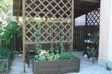 Изображение Изображение гостиницы &quot;Частный сектор «У Алексея»&quot; #7 #5