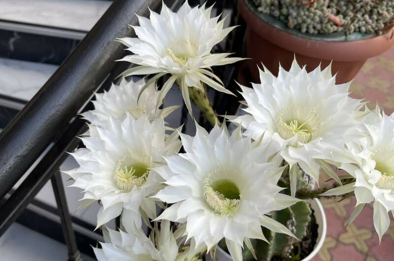 Изображение Изображение гостиницы &quot;Гостевой дом «У моря»&quot; #8 #6