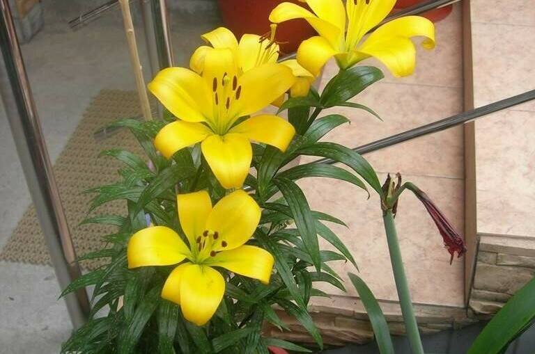 Изображение Изображение гостиницы &quot;Гостевой дом «Берег мечты»&quot; #8 #6