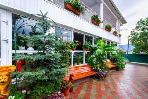 Изображение отеля / гостиницы "Гостевой дом «Оазис»"