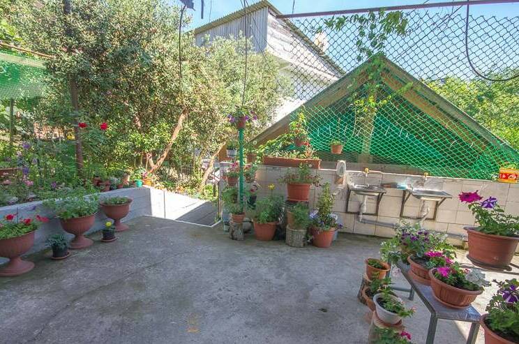 Изображение Изображение гостиницы &quot;Частный сектор «Ася-Мечта»&quot; #6 #4