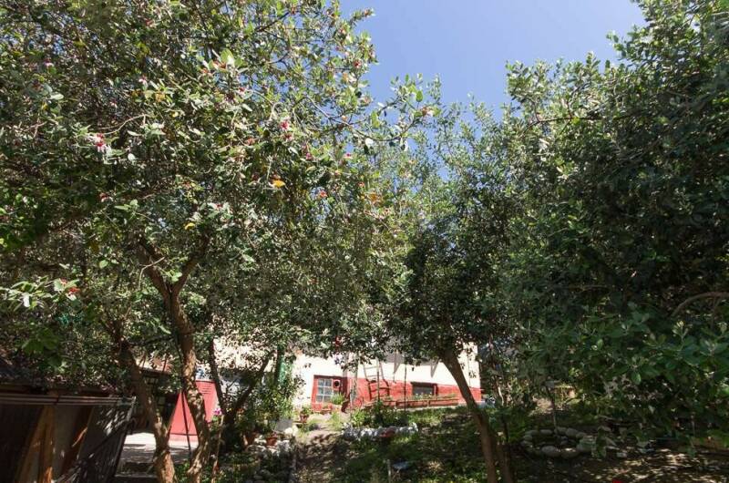 Изображение Изображение гостиницы &quot;Частный сектор «Ася-Мечта»&quot; #8 #6