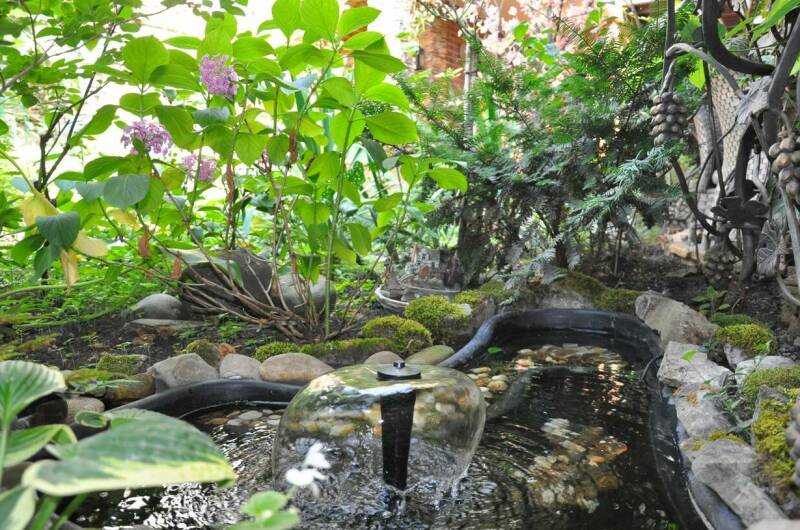 Изображение Изображение гостиницы &quot;Доходный дом «Маргаритка»&quot; #3 #1