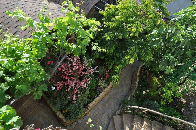 Изображение Изображение гостиницы &quot;Доходный дом «Маргаритка»&quot; #10 #8