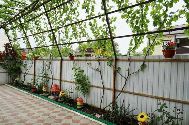 Изображение Изображение гостиницы &quot;Гостевой дом «Алина»&quot; #7 #5