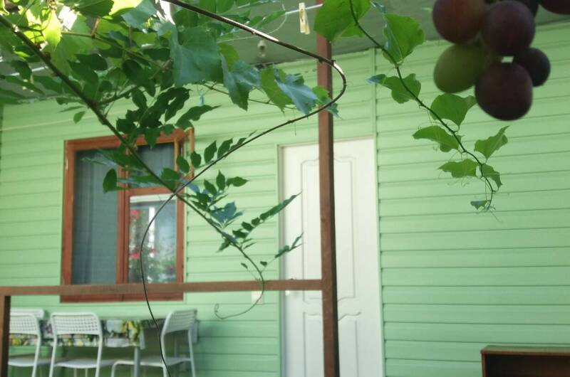 Изображение Изображение гостиницы &quot;Гостевой дом «Лето»&quot; #9 #7