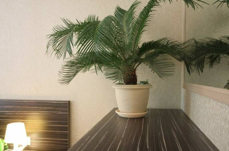 Изображение Изображение гостиницы &quot;Частный дом «Novikoff»&quot; #11 #9