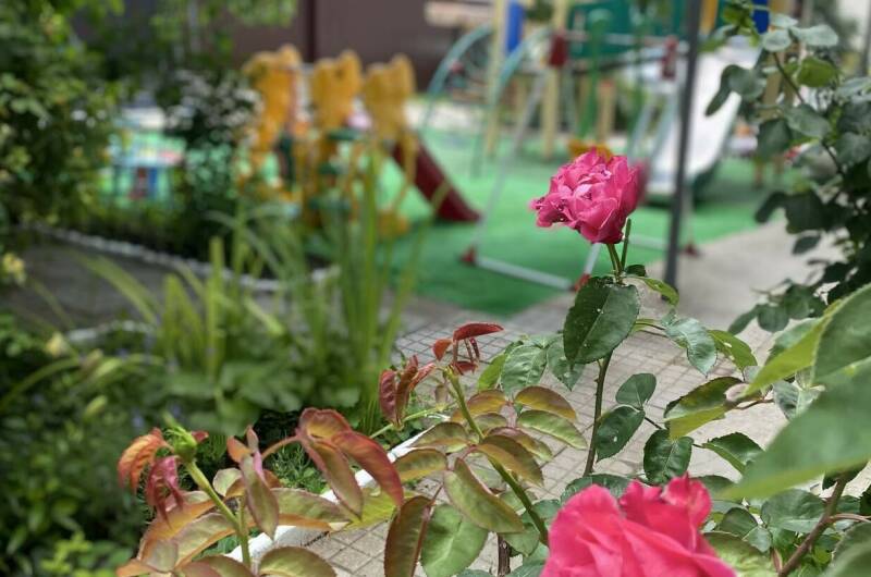 Изображение Изображение гостиницы &quot;Гостевой дом «Кириакия»&quot; #6 #4