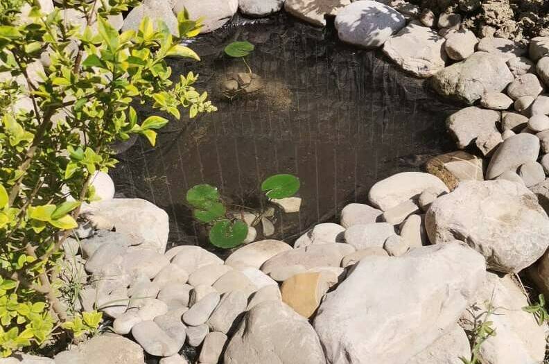 Изображение Изображение гостиницы &quot;Гостевой дом «Костилья»&quot; #6 #4