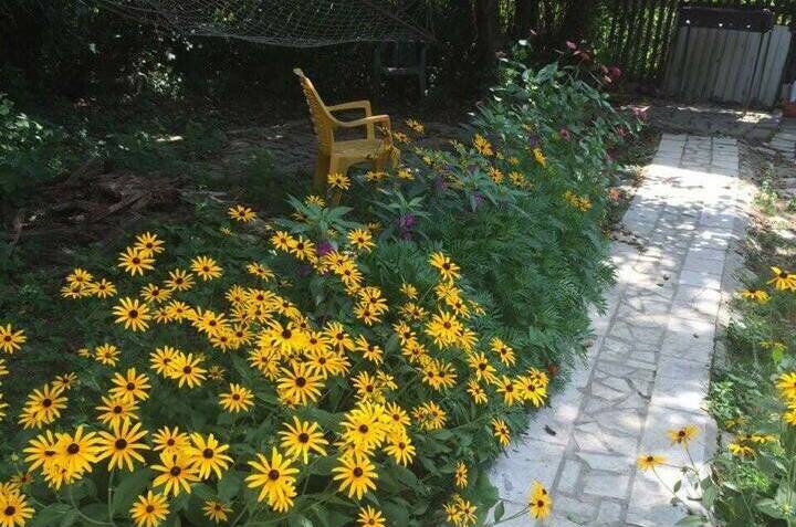 Изображение Изображение гостиницы &quot;Гостевой дом «Костилья»&quot; #10 #8