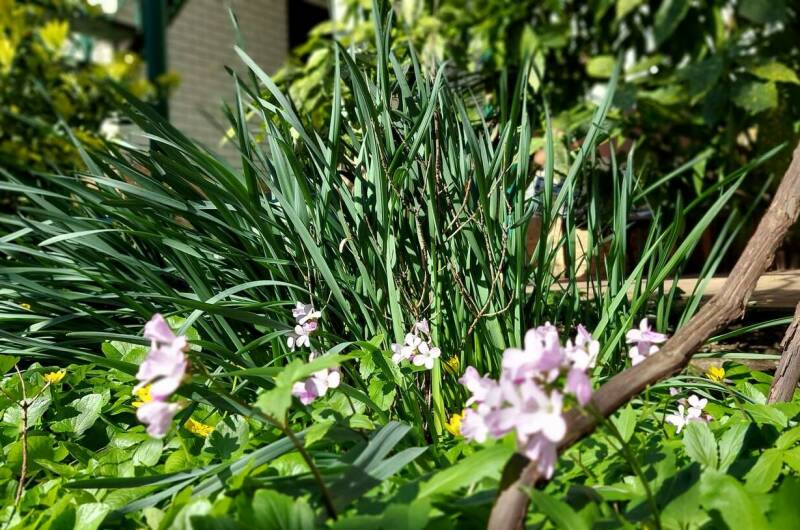 Изображение Изображение гостиницы &quot;Гостевой дом «У Степаныча»&quot; #9 #7