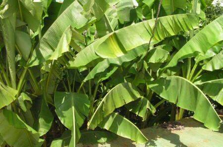 Изображение Изображение гостиницы &quot;Гостевой дом «Лазурит»&quot; #3 #1