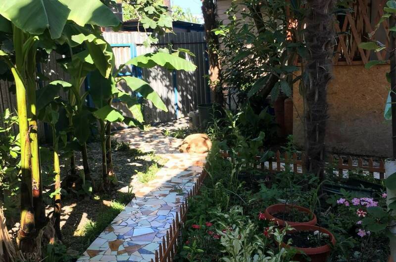 Изображение Изображение гостиницы &quot;Гостевой дом «Лазурит»&quot; #4 #2