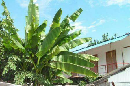 Изображение Изображение гостиницы &quot;Гостевой дом «Лазурит»&quot; #8 #6