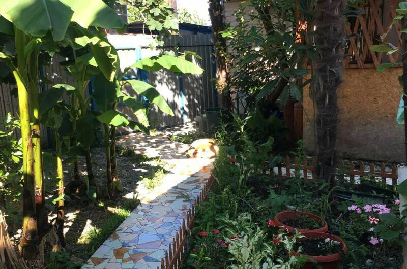 Изображение Изображение гостиницы &quot;Гостевой дом «Лазурит»&quot; #11 #9