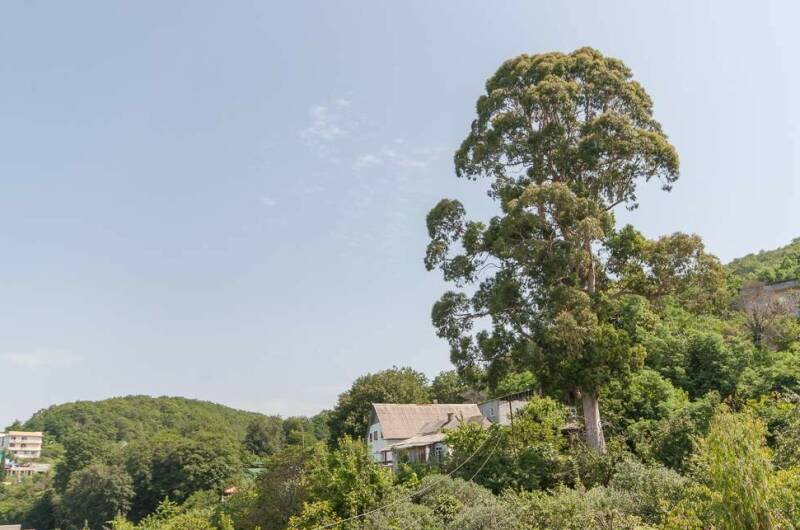 Изображение Изображение гостиницы &quot;Гостевой дом «Надежда»&quot; #3 #1