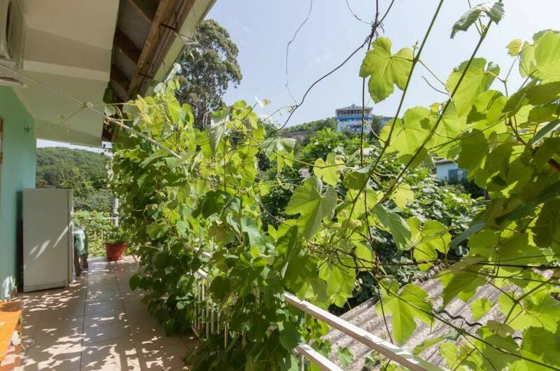 Изображение Изображение гостиницы &quot;Гостевой дом «Надежда»&quot; #7 #5