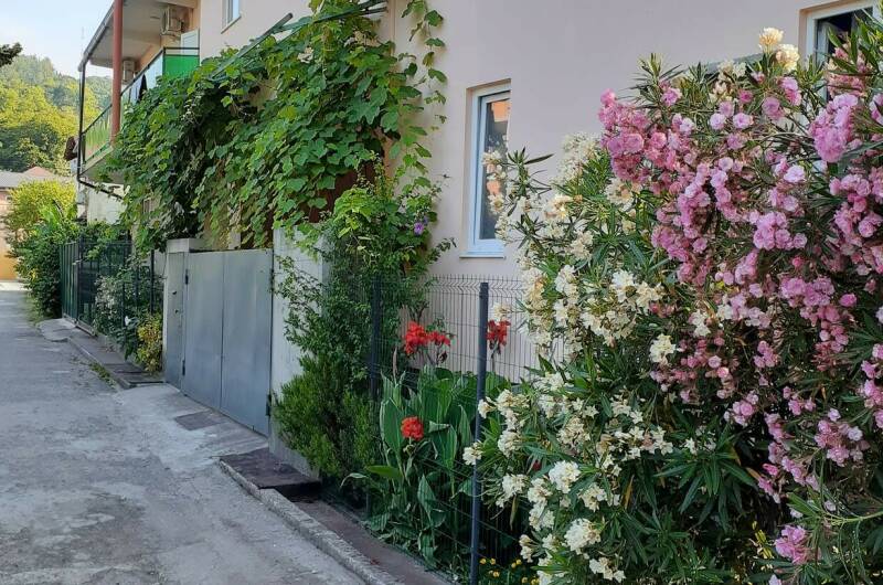 Изображение гостиницы "Гостевой дом «Изюминка»" #1