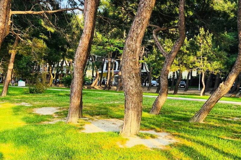 Изображение Изображение гостиницы &quot;Гостевой дом «Русалка»&quot; #9 #7