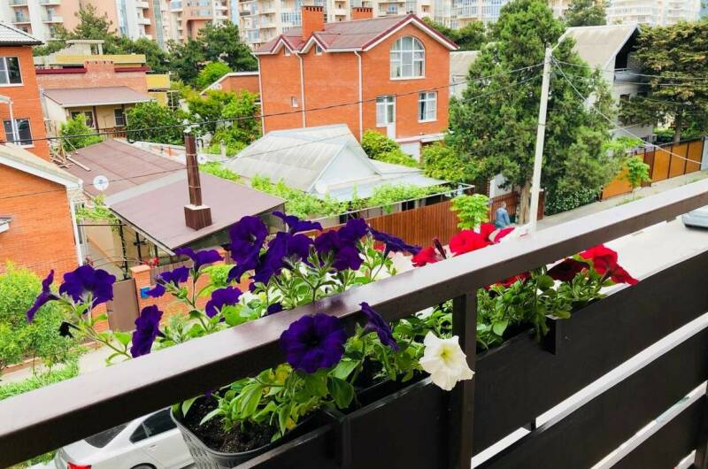 Изображение Изображение гостиницы &quot;Гостевой дом «Русалка»&quot; #10 #8