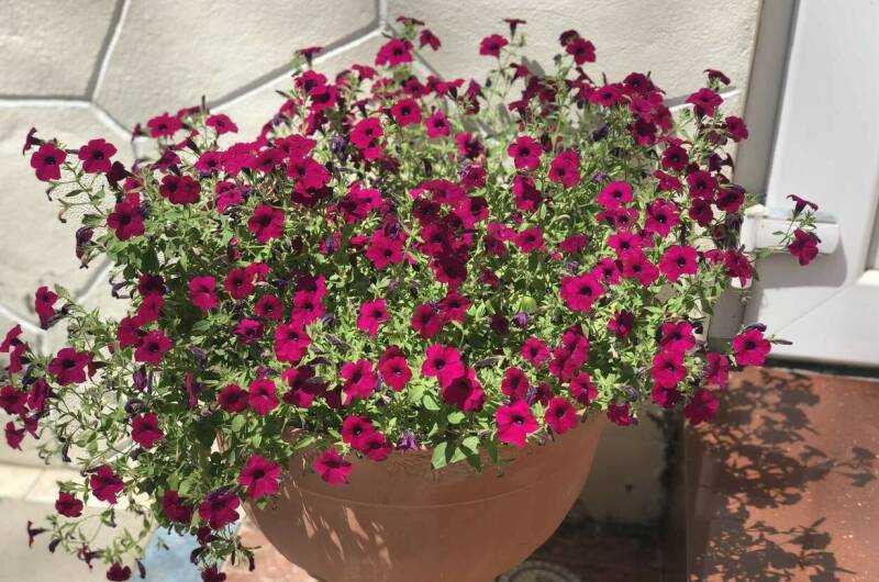 Изображение Изображение гостиницы &quot;Гостевой дом «ЛиДиАнна»&quot; #6 #4