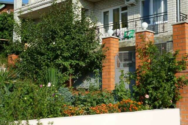 Изображение гостиницы "Гостевой дом «Азалия»" #1