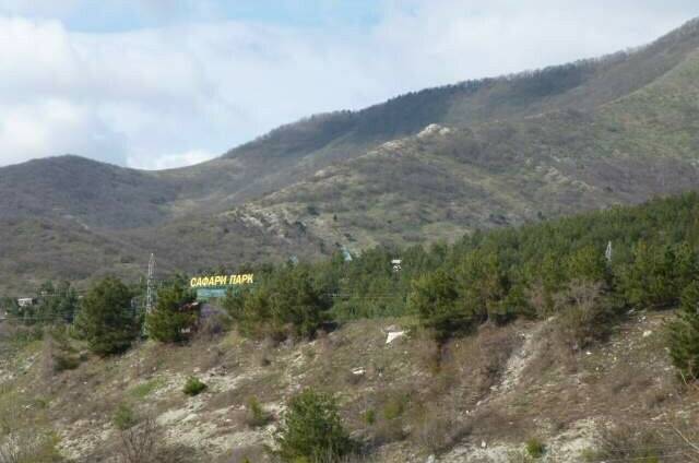 Изображение Изображение гостиницы &quot;Гостевой дом «Азалия»&quot; #11 #9