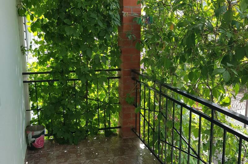 Изображение Изображение гостиницы &quot;Гостевой дом «У Андрея»&quot; #8 #6