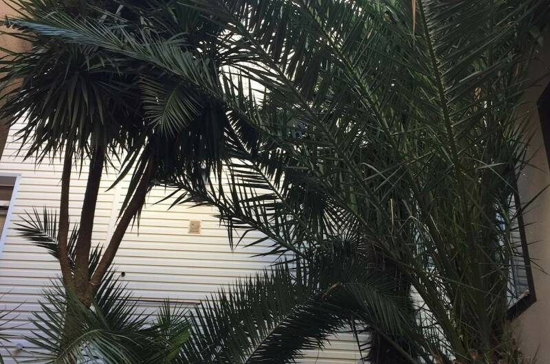 Изображение Изображение гостиницы &quot;Гостиница «Галина»&quot; #6 #4