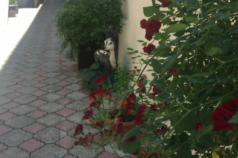 Изображение Изображение гостиницы &quot;Гостиница «Галина»&quot; #7 #5