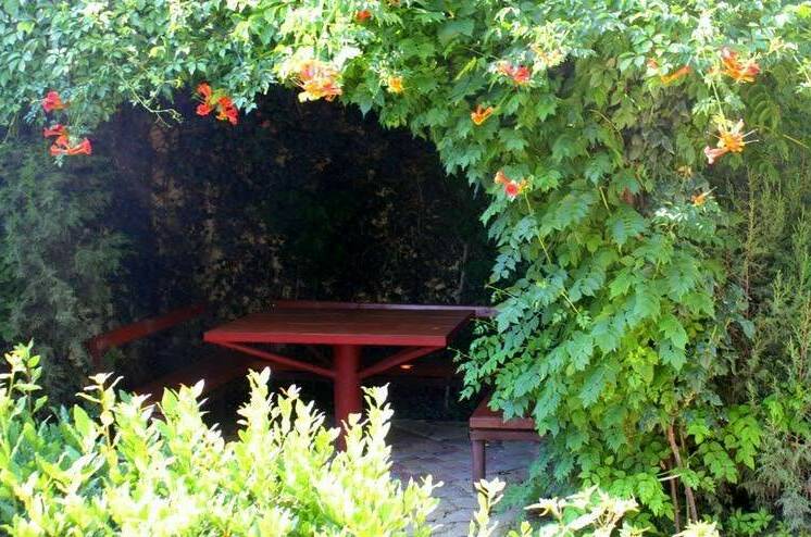 Изображение Изображение гостиницы &quot;Гостевой дом «Бунгало у Романа»&quot; #5 #3