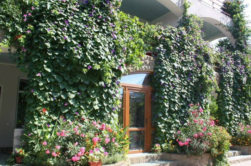 Изображение Изображение гостиницы &quot;Гостевой дом «Бунгало у Романа»&quot; #6 #4