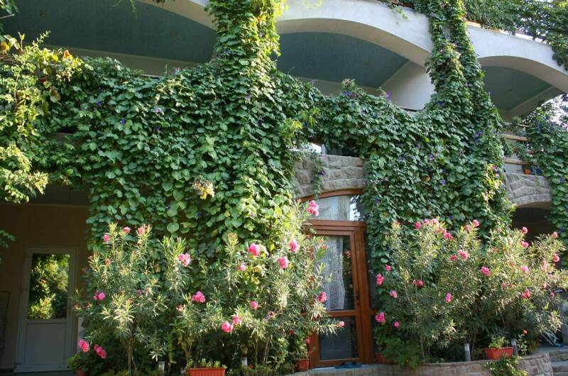 Изображение Изображение гостиницы &quot;Гостевой дом «Бунгало у Романа»&quot; #9 #7